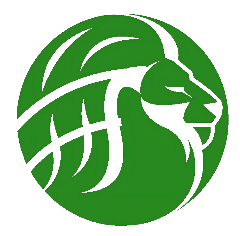 徐州市淮狮电子科技有限公司